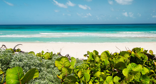 Cozumel East Coast, vacation spots in Mexico