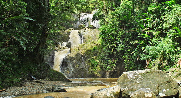 Trinidad & Tobago Waterfall Argyle