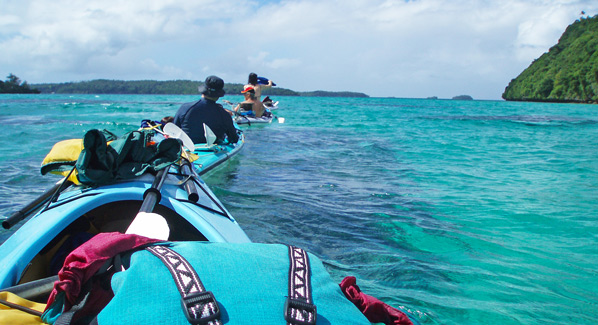 Tonga Kayak With Whales