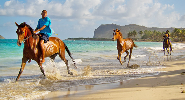 St. Lucia Horseback Riding on Beach