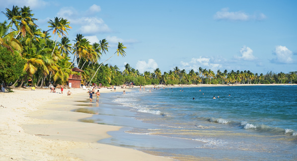 Grande Anse Des Salines Martinique