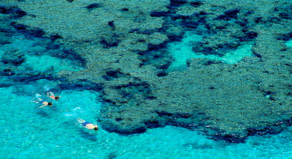 The reefs at Oahu's Haunama Bay are the state's most popular, attracting a million visitors a year.