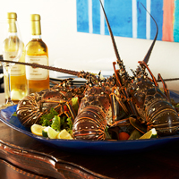 Anguilla lobster- CuisinArt