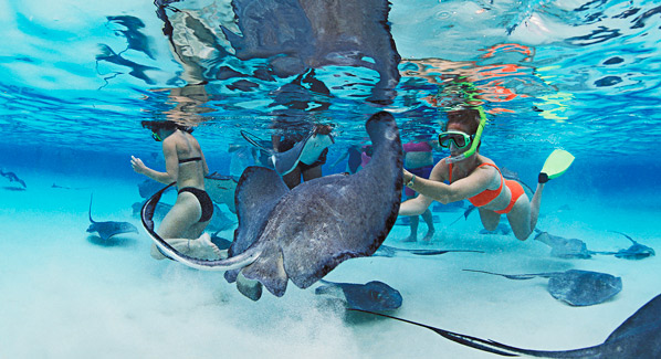 Grand Cayman's Stingray City, tropical snorkeling destinations