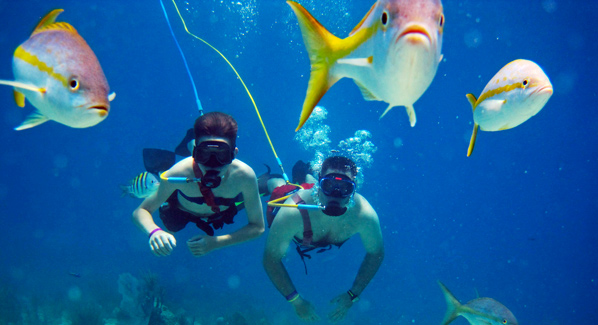 Virgin Islands SNUBA Excursions operated for more than 20 years, putting thousands underwater. Photo: VI SNUBA Excursions