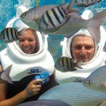 All Sea Trek Fish, Grand Cayman