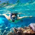 Snorkeling in Mexico