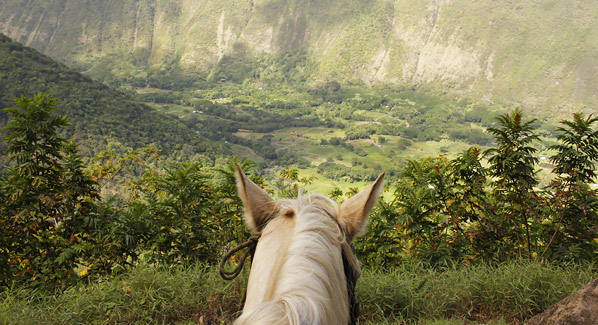 Hawaii Big Island, Waipio Valley Horseback Riding