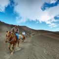 Hawaii, Maui, Haleakala Horseback Riding
