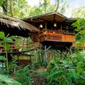 Costa Rica Punta Uva Tree House