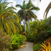 Grand Cayman Queen Elizabeth Botanical Park