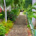 St Thomas Charlotte Amalie