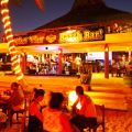 Playa Del Carmen Wah Wah Bar Mexico