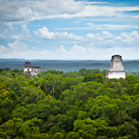 Guatemala Tikal Vista