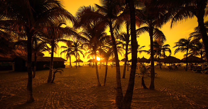 sunset trip tropical