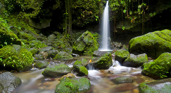 Emerald Pool Waterfall Dominica