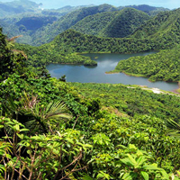 Dominica Freshwater Lake MorneTrois