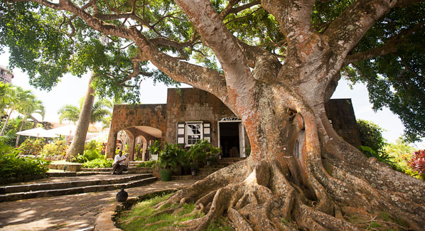 Montpelier Plantation Inn Nevis