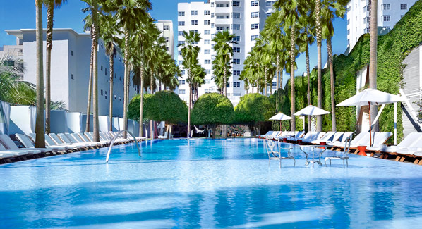 Delano Pool Miami