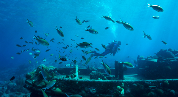 Underwater Wreck Curacao