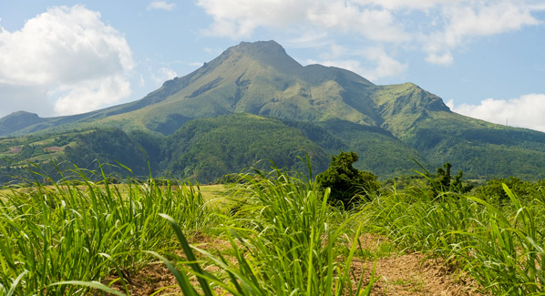 Martinique Mount Pelee