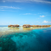 Maldives Lily Beach