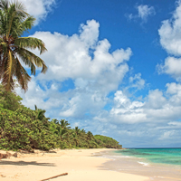 Guadeloupe Marie Galante Beach
