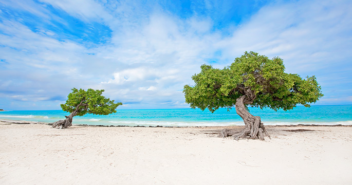 best caribbean islands to visit in october 2022