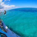 Stuart Cove Snorkeling Bahamas