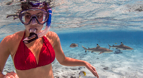 Bora Bora Snorkeling with Sharks
