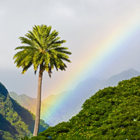 Oahu Hawaii Rainbow