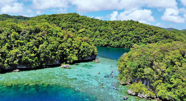 Nikko Bay Palau