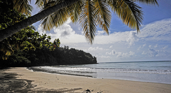 La Sagasse Beach Grenada