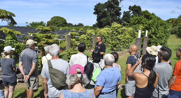 Greenwell Kona Coffee Festival