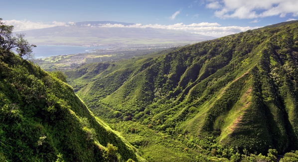 Waihee Ridge Trail