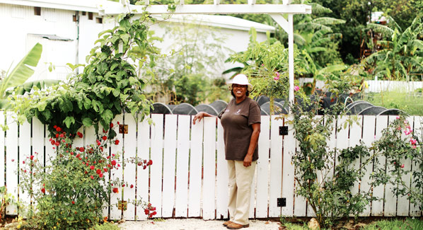 The Cove Organic Garden