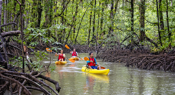 Playa Cativo kayaking