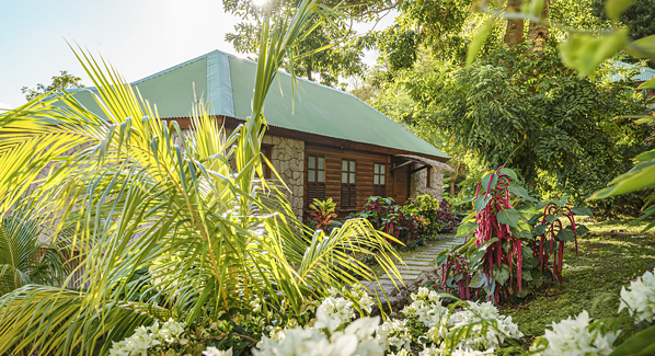 Dominica Jungle Bay