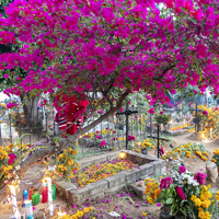 Oaxaca day of the dead