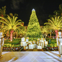 Boca Raton Christmas