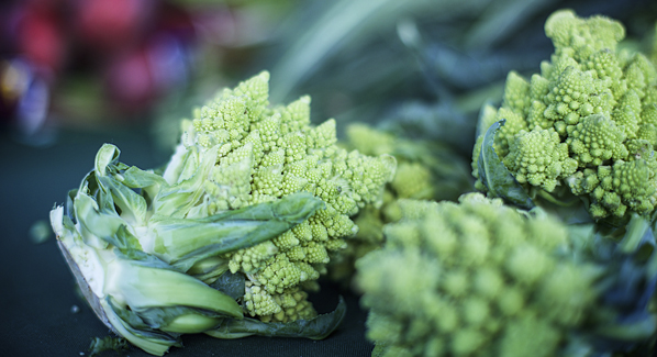 Coconut Grove Farmer's Market