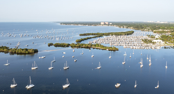 Sailboats Coconut Grove