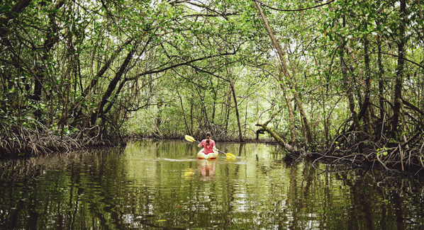 Panama Kayaking