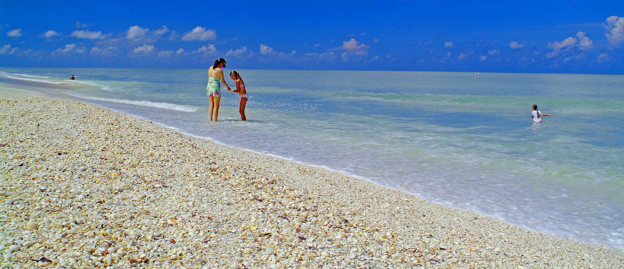 Best Shelling on Sanibel
