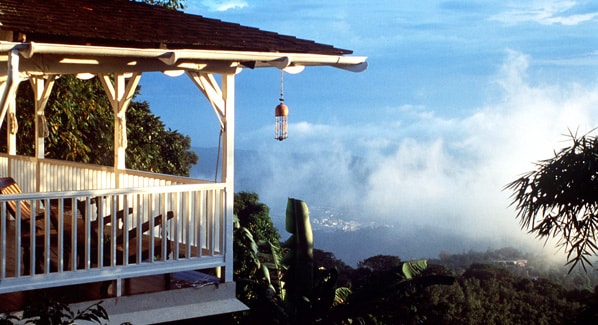 Jamaica Strawberry Hill Bird's Hill