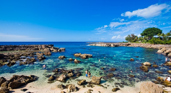 Shark Cove, Oahu's best snorkel sites