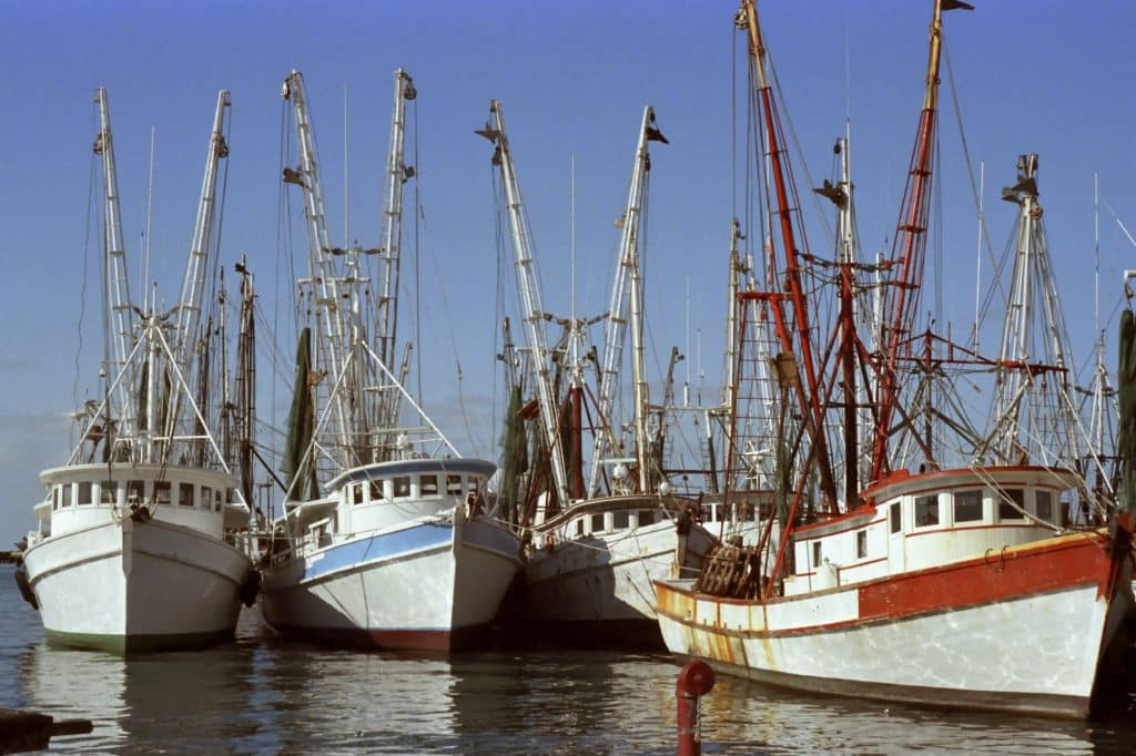 Shrimp Boat