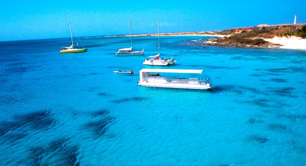 Aruba Snorkeling, the ABCs of Snorkeling
