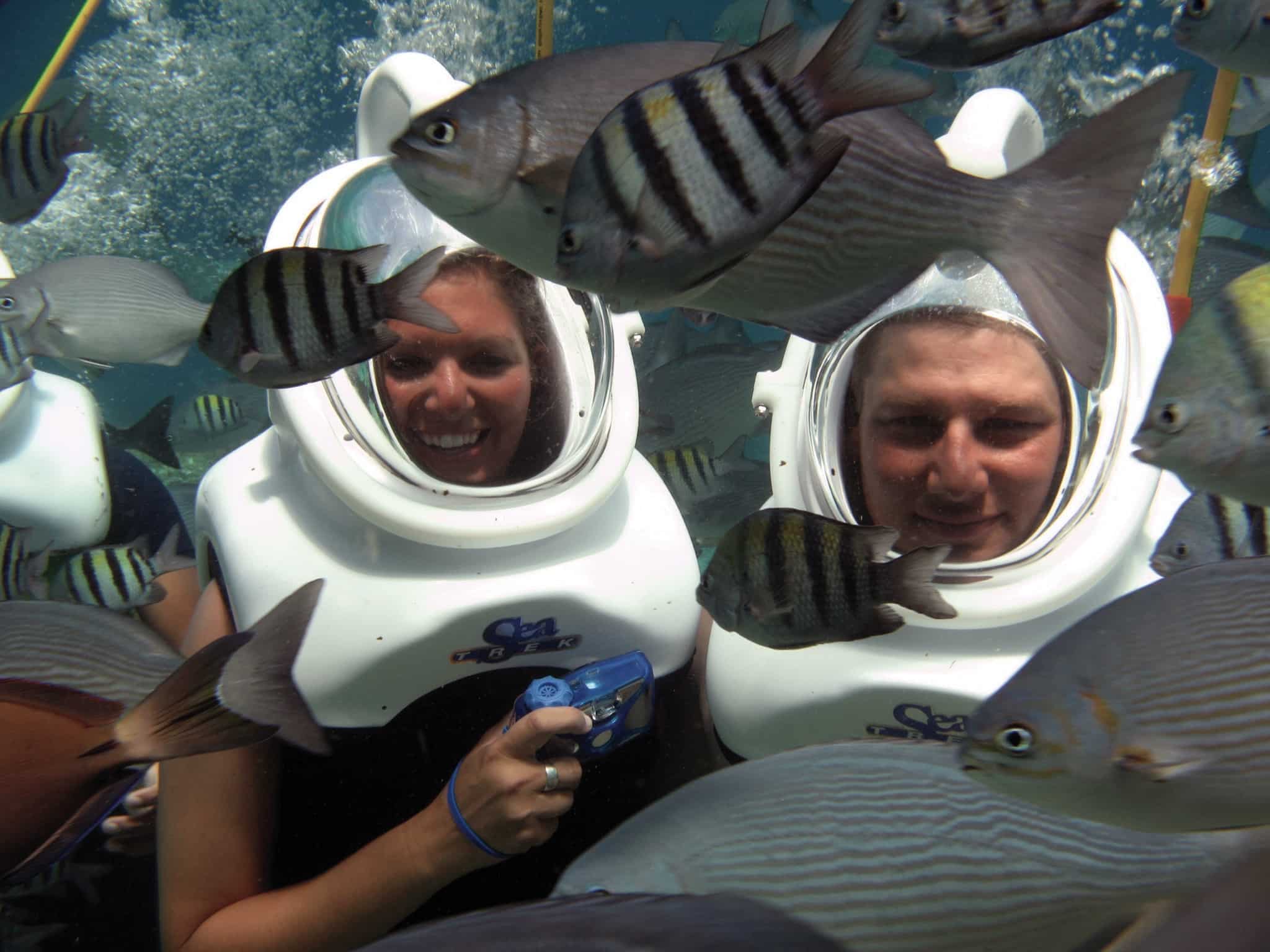All Sea Trek Fish, Grand Cayman