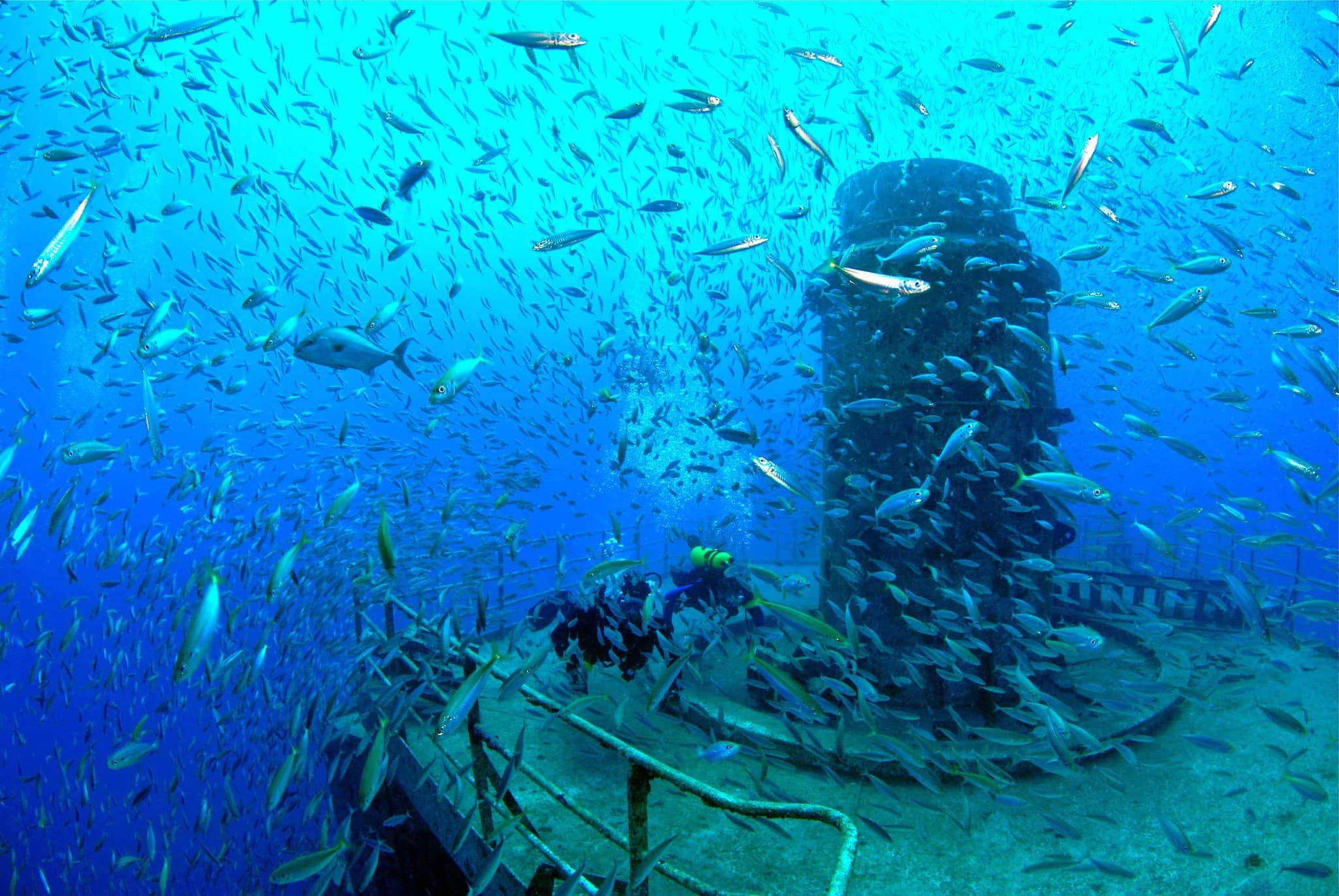 Florida Keys Shipwreck Diving